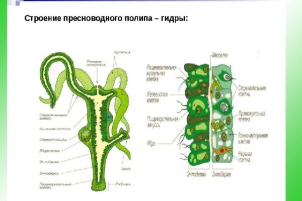 Ссылка на кракен в браузере