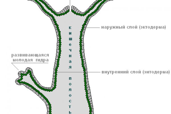 Купить наркотики москва