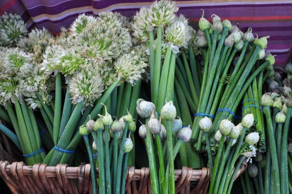 Кракен не работает