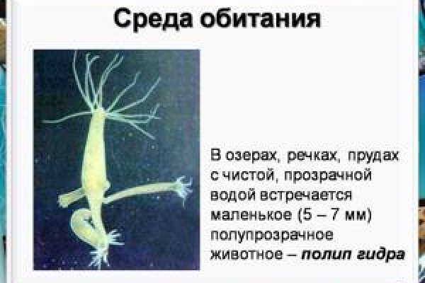 Кракен маркет только через тор